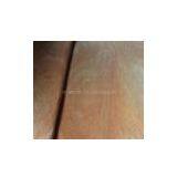 Bintangor thumbnail-1