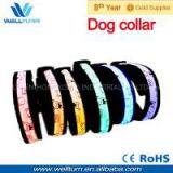 Flashing LED Dog Collar