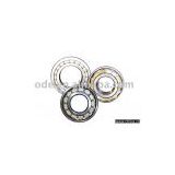 Cylindrical  Roller Bearing