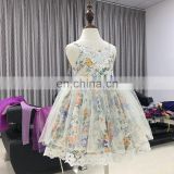 Flower Girl Baby Dress Lace Slip Tulle Dress Puffy Bustier Gown