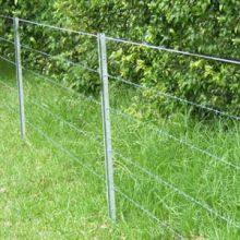 Y POST/good Quality/pvc Coated Y Post thumbnail-2