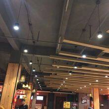 Hanging Adjustable COB LED Down Lights (12W) thumbnail-5