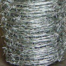 Barbed Wire thumbnail-1