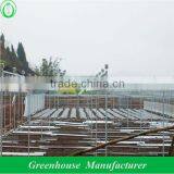 Multi Span Agricultural Greenhouses