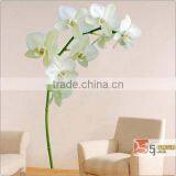 Kids Wall Sticker thumbnail-1