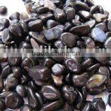 Gemstone Black Obsidian High Polished Tumbled Stone