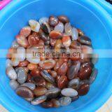 Natural Rock Carved Random Shape Polished Agate Stone