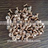 Oem High Quality and Best Price Brass Male and Female Screw Made in China thumbnail-4