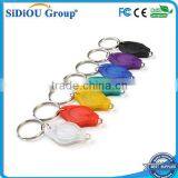 Custom Multicolored Rainbow LED Keychain Flashlight