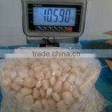 I.Q.F SCALLOPS ROE OFF thumbnail-4