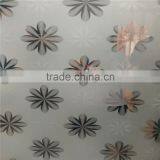 China Manufacturer Clear Etched Glass thumbnail-6