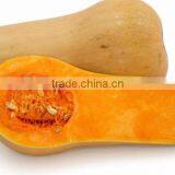 Commercial High Automatic Stainless Melon Separating Machine Watermelon Separator Pineapple Cutter thumbnail-6