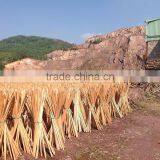 Striped Green Color Coated Wooden Broom Handle Only From KEGO Vietnam thumbnail-3