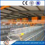 Popular Modern automatic poultry cages feeding systems