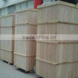 Neweek Fruit and Vegetable Peeling Papaya Wax Gourd Skin Removing Machine thumbnail-6