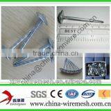 Galvanized Umbrella Head Roofing Nails thumbnail-1