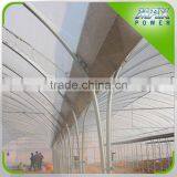 Single Layer and PE Material Used Commercial Film Greenhouses thumbnail-6