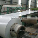 Color Coated Galvanized Steel Sheet/prepainted Steel Roofing Sheet/colored Stainless Steel Coil thumbnail-5