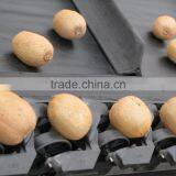 Fruit Vegetable Potato Grading Machine Sorter Grader thumbnail-2