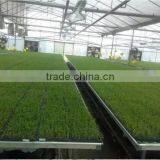 China Supplier Discount Competitive Price Starting Seed Tray thumbnail-2