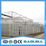 Agricultural Used Greenhouse Sale thumbnail-3