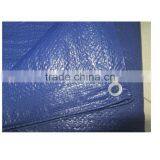 50-80gsm Tarpaulin Cover Light Weight Blue pe Tarpaulin thumbnail-3