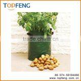 Potato Growing Bag thumbnail-1
