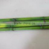 Artificial Lucky Bamboo Pole,real Trunk Bamboo Branches With Plastic Leaves thumbnail-4
