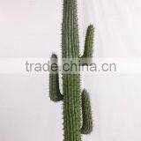 SJ3001014 Landscaping Ornament Cactus Plant/catos Green Plant thumbnail-2