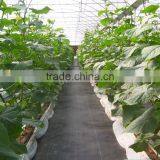Plastic Ground Cover Breathable Mesh Fabric thumbnail-5