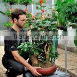 80kgs Plastic Luggage Hand Lift Trolley thumbnail-4