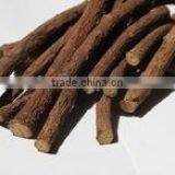 Glycyrrhiza Glabra thumbnail-3