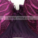 Katrina Kaif Sexi Lace Bra Panty Set Image Shantou China OEM Underwear thumbnail-3