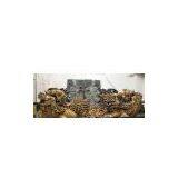 Chinese Ancient Lion Carving-eastcurio thumbnail-1