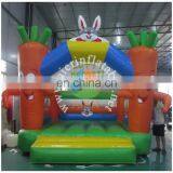 Rabbit Inflatable Inflatable Tiny House for Kids Inflatable Usa