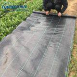 PP Woven Weed Stop Fabric Plastic Ground Cover Membrane thumbnail-3