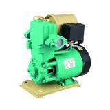 PW250A Self-priming Pump