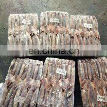 Frozen Argentina Illex Squid Frozen Illex Squid Price thumbnail-5