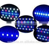 NEW Professional LED Fresh Water Live Gold Fish Tank Lighting Controllable Aqua Sun WiFi LED Aquarium Light thumbnail-4