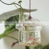 Light Base Under Vase Glass Bell Dome