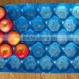 Plastic Insert For Food thumbnail-1