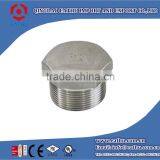 Stainless Steel Threaded Pipe Fittings Hxeagon Plug