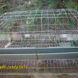 Common Chicken Cage,build Chicken Coops,cages Pigeons