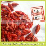 Low Pesticide Goji Fruit Can be Used as Snack thumbnail-1