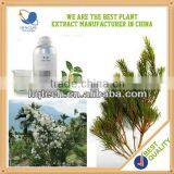 Made In China OEM Purity Low Price Tea Tree Oil Bulk