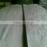 White Birch Rotary veneer