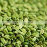 Cardamom thumbnail-3