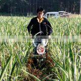 Hand Start 6.5hp Power Harrow Walking Tractor With Tools Vegetable Farming Equipment