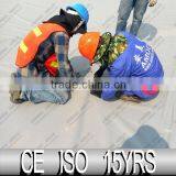 2016 China Hot Sales CE Approved Double Membrane Biogas Dome for Biogas Plant In Thailand Projects