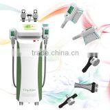 weight reduction cryotherapy cryolipolysis cellulite system